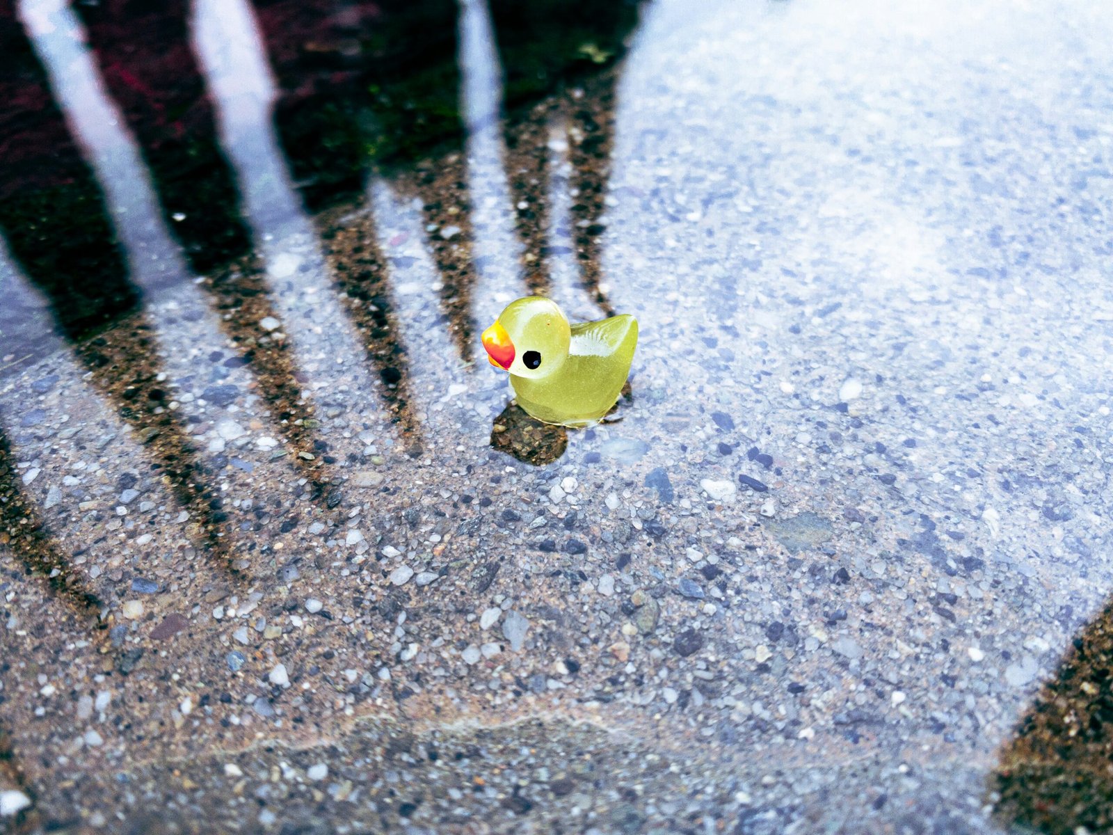 jennifer ordaz gunhj2hx2ck unsplash